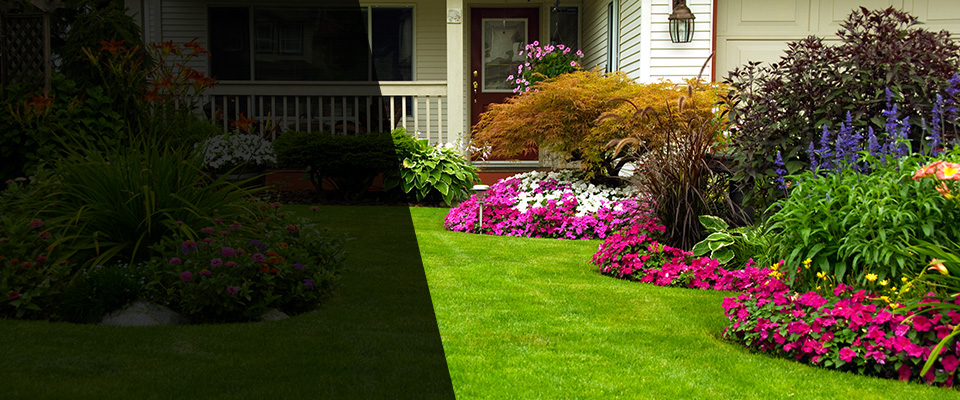 Trinity Landscapers